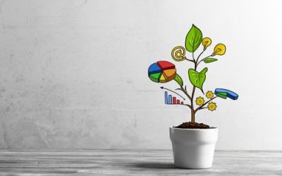 Can You Set the Stage for Growth in 2024?