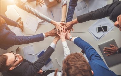 Choosing the Right Team to Grow Your Business